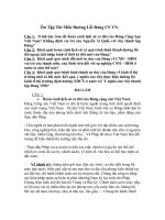 Ôn Tập Thi Môn Đường Lối Đảng CS VN pdf