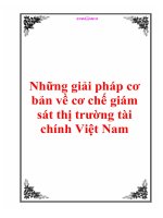 Những giải pháp cơ bản về cơ chế giám sát thị trường tài chính Việt Nam pps