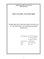 “Tìm hiểu hiệu quả sử dụng đất trồng cây hàng năm ở thôn 4 xã Eawer huyện Buôn Đôn tỉnh Đăk Lăk” pptx