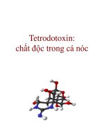 Tetrodotoxin: chất độc trong cá nóc docx