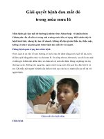 Giải quyết bệnh đau mắt đỏ trong mùa mưa lũ pdf