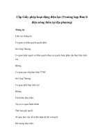 Cấp Giấy phép hoạt động điện lực (Trường hợp Bán lẻ điện nông thôn tại địa phương) ppt