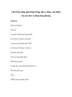 Cấp Giấy phép phát hành băng, đĩa ca nhạc, sân khấu cho các đơn vị thuộc địa phương pot