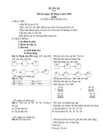 Giáo án - Tuần 35- Lớp 1(CKTKN)