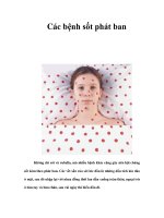 Các bệnh sốt phát ban ppt