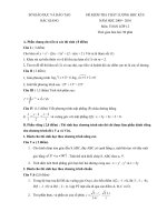Đề và đáp an thi học kì 2 lớp 12 năm 2010