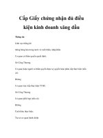 Cấp Giấy chứng nhận đủ điều kiện kinh doanh xăng dầu potx