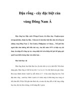 Đậu rồng - cây đặc biệt của vùng Đông Nam Á pptx