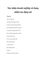 Xác nhận doanh nghiệp sử dụng nhiều lao động nữ pot