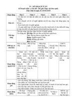 các hiện tượng tự nhiên