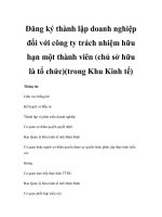 Đăng ký thành lập doanh nghiệp đối với công ty trách nhiệm hữu hạn một thành viên (chủ sở hữu là tổ chức)(trong Khu Kinh tế) potx