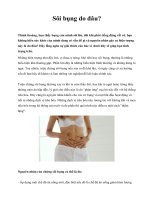 Sôi bụng do đâu? pdf