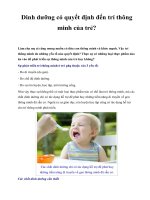 Dinh dưỡng có quyết định đến trí thông minh của trẻ? potx