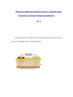 Dưỡng da,trị thâm,nám,trị khô da,trẻ hóa da,...bằng điện chuyển Ion Vitamin C+Vitamin E+Placenta+Gamma PGA (Kỳ 2) doc