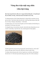 Vừng đen trộn mật ong chữa viêm đại tràng pps