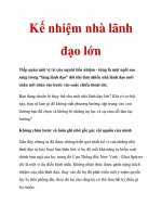 Kế nhiệm nhà lãnh đạo lớn potx