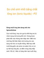 Sơ chế sinh khối bằng chất lỏng ion (Ionic liquids) -P2 pot