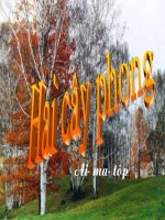 bài giảng hai cây phong