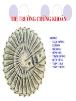 Thị trường chứng khoán - Quỹ đầu tư mạo hiểm quốc tế ppt