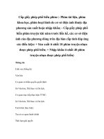 Cấp giấy phép phổ biến phim (- Phim tài liệu, phim khoa học, phim hoạt hình do cơ pdf