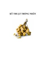 KỸ THUẬT TRỒNG NHÃN ppsx