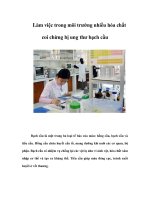 Làm việc trong môi trường nhiều hóa chất coi chừng bị ung thư bạch cầu ppsx