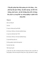 Cấp giấy phép thực hiện quảng cáo trên băng – rôn, phương tiện giao thông, vật phát quang, vật thể trên không, dưới nước, vật thể di động khác đối với hàng hóa, dịch vụ trong lĩnh vực nông nghiệp và phát triển nông thôn pdf