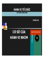 Cơ sở của hành vi nhóm