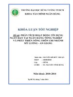 phân tích hoạt động tín dụng ngắn hạn tại ngân hàng nông nghiệp và phát triển nông thôn chi nhánh mỹ luông - an giang