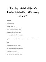 Chia công ty trách nhiệm hữu hạn hai thành viên trở lên (trong Khu KT) potx