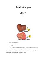 Bênh viêm gan (Kỳ 2) pps