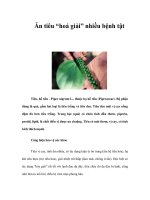 Ăn tiêu “hoá giải” nhiều bệnh tật doc