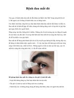 Bệnh đau mắt đỏ docx