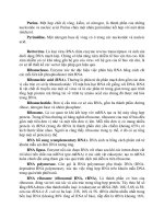 Hộp Điện Trong Công Nghệ DNA part 5 pot