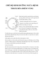 CHẾ ĐỘ DINH DƯỠNG NGỪA BỆNH THOÁI HÓA ĐIỂM VÀNG docx
