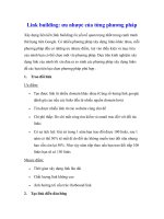 Link building: ưu nhược của từng phương pháp pps