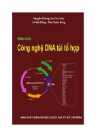 Hộp Điện Trong Công Nghệ DNA part 1 ppsx