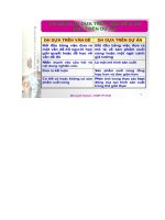 SS DH theo van de va DH theo du an.doc