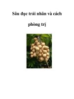 Sâu đục trái nhãn và cách phòng trị pps