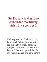 Sự độc hại của ống nano carbon đến môi trường sinh thái và con người pptx