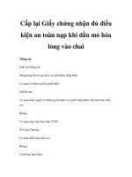 Cấp lại Giấy chứng nhận đủ điều kiện an toàn nạp khí dầu mỏ hóa lỏng vào chai pps