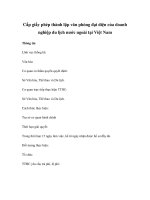 Cấp giấy phép thành lập văn phòng đại diện của doanh nghiệp du lịch nước ngoài tại Việt Nam pot