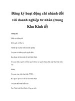 Đăng ký hoạt động chi nhánh đối với doanh nghiệp tư nhân (trong Khu Kinh tế) doc