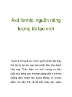 Axit formic: nguồn năng lượng tái tạo mới pot