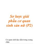 Sơ lược giải phẫu cơ quan sinh sản nữ (P2) pptx