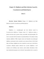 Chapter 131. Diphtheria and Other Infections Caused by Corynebacteria and Related Species (Part 1) pptx