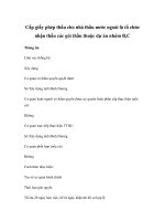 Cấp giấy phép thầu cho nhà thầu nước ngoài là tổ chức nhận thầu các gói thầu thuộc dự án nhóm B,C doc