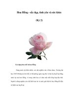 Hoa Hồng - sắc đẹp, tình yêu và sức khỏe (Kỳ 2) pptx
