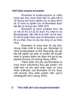 enzyme bromelain Bromelain ppt
