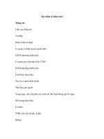 Xác nhận sổ thăm nuôi ppsx